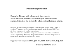 Phoneme Segmentation Picture scenes