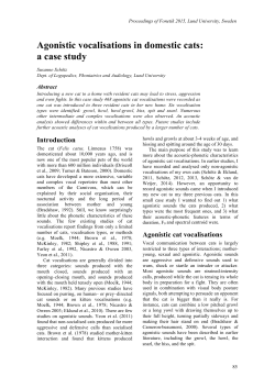 Agonistic vocalisations in domestic cats: a case study