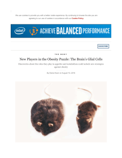 New Players in the Obesity Puzzle: The Brain`s Glial Cells
