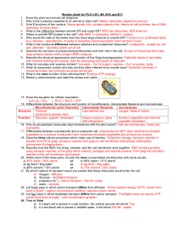 Unit 3 Review ANSWERS