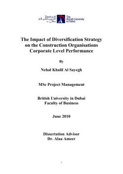 The Impact of Diversification Strategy