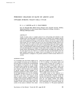 periodic changes in rate of amino acid uptake during yeast cell cycle