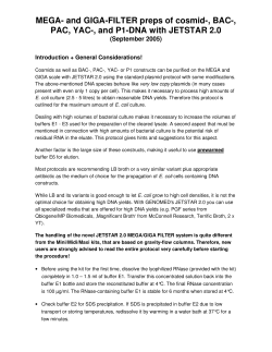 MEGA- and GIGA-FILTER preps of cosmid-, BAC-, PAC, YAC