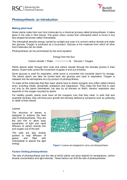 Photosynthesis: an introduction