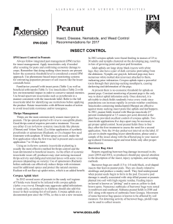 Peanut - Alabama Cooperative Extension System