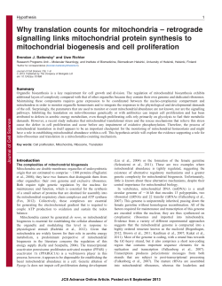 retrograde signalling links mitochondrial protein synthesis to