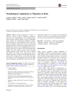 Read article in PDF
