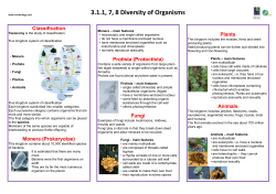 3.1.1, 7, 8 Diversity of organisms