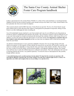 The Santa Cruz County Animal Shelter Foster Care Program