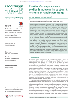 Evolution of a unique anatomical precision in angiosperm leaf