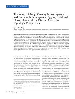 Taxonomy of Fungi Causing Mucormycosis and