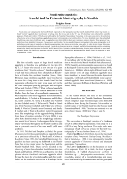 Fossil ratite eggshells: A useful tool for Cainozoic biostratigraphy in