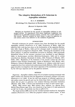 The Adaptive Metabolism of D -Galactose in