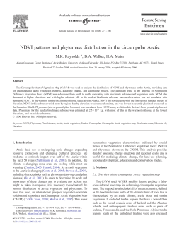 NDVI patterns and phytomass distribution in the circumpolar Arctic