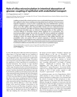 Role of villus microcirculation in intestinal absorption of glucose