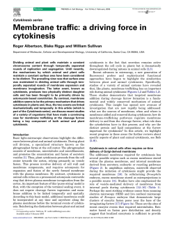 Membrane traffic: a driving force in cytokinesis