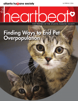 Finding Ways to End Pet Overpopulation