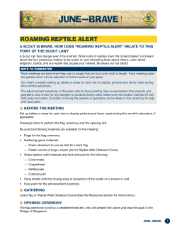 June&mdash;BRave - Boy Scouts of America