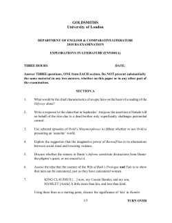 PDF (EXPLORATIONS IN LITERATURE EN51001A_2010exam