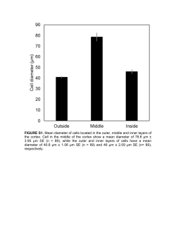 FIGURE S1. Mean diameter of cells located in the outer, middle and