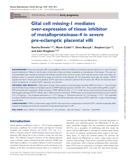 Glial cell missing-1 mediates over-expression of tissue inhibitor of