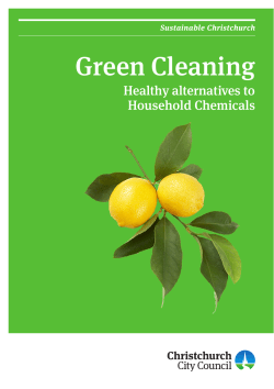 healthy alternatives to household chemicals