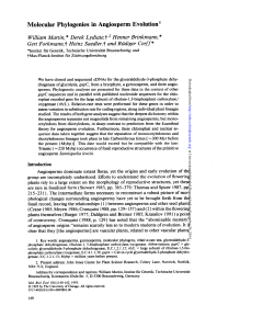 Molecular Phylogenies in Angiosperm Evolution `
