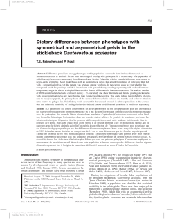 Dietary differences between phenotypes