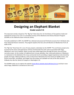 Designing an Elephant Blanket