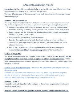 Art AP Summer Assignment Projects