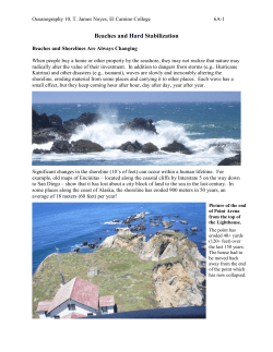 Beaches and Hard Stabilization