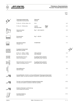 Pr&auml;zisions-Gewindetriebe - ATLANTA Antriebssysteme E