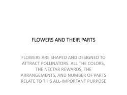 FLOWERS AND THEIR PARTS