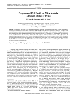 Programmed Cell Death via Mitochondria: Different Modes of Dying