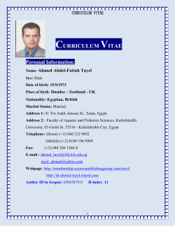 CURRICULUM VITAE