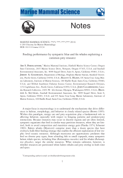 Feeding performance by sympatric blue and fin whales exploiting a
