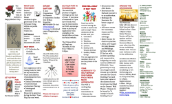 to and view Bulletin 14 May 2017 in a new tab