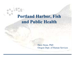 Portland Harbor, Fish and Public Health