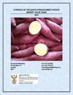 Sweet potato market value chain profile 2015