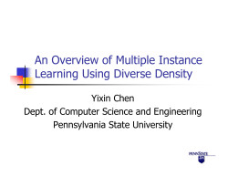 An Overview of Multiple Instance Learning Using Diverse Density