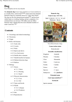 Dog - Wikipedia, the free encyclopedia