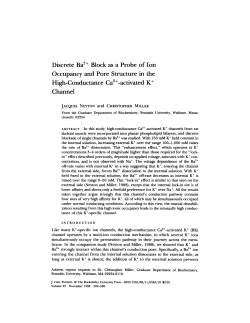 Discrete Ba 2+ Block as a Probe of Ion Occupancy