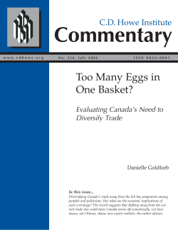 trade diversification (goldfarb).qxp