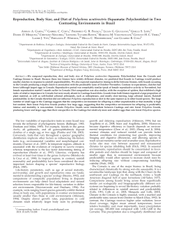 Reproduction, Body Size, and Diet of Polychrus acutirostris