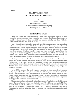 Greenhouse Effect Sea Level Rise and Coastal