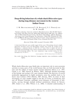 Deep-diving behaviour of a whale shark Rhincodon typus during