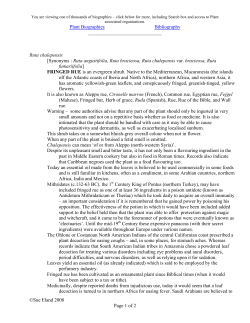 fringed rue - Plant Biographies