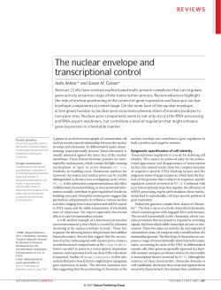 The nuclear envelope and transcriptional control