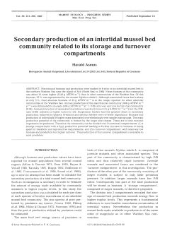 Secondary production of an intertidal mussel bed