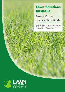 Eureka Kikuyu Specification PDF